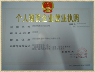 沭陽林洲花木園藝場